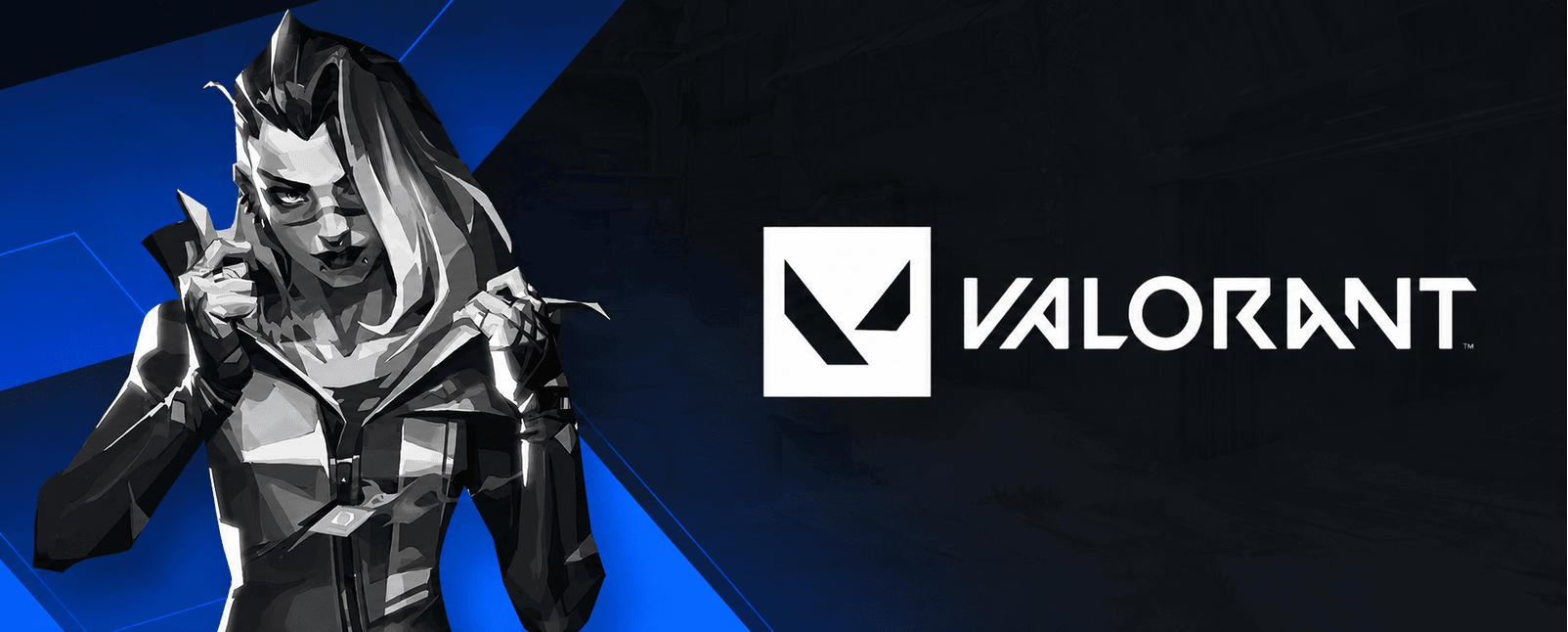 VALORANT